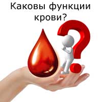 Вопрос:каковы функции крови?