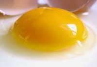яйцо содержит лецитин