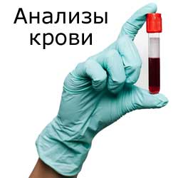 анализы крови
