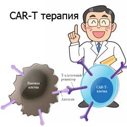 доктор рассказывает о том, что такое CAR-T терапия
