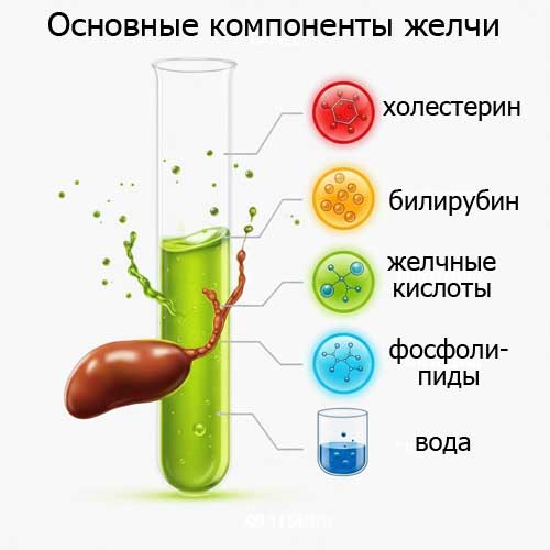 главные компоненты желчи
