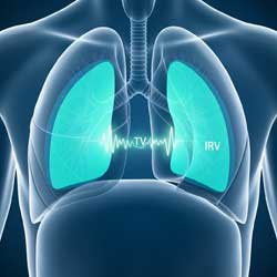 легкие с разным дыхательным объемом, ЖЕЛ и ПСВ