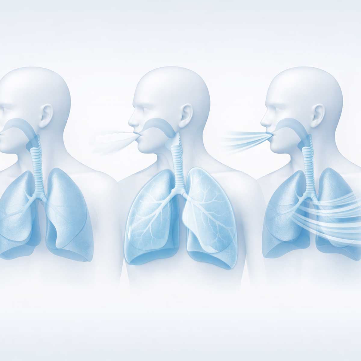 Схематичная 3D-иллюстрация: спокойное дыхание, максимальный вдох-выдох и форсированный выдох как разные показатели функции легких.