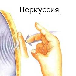 перкуссия