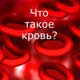 что такое кровь
