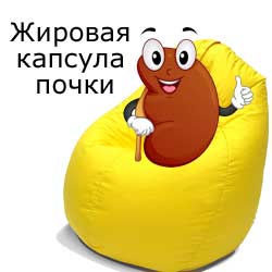 жировая капсула почки