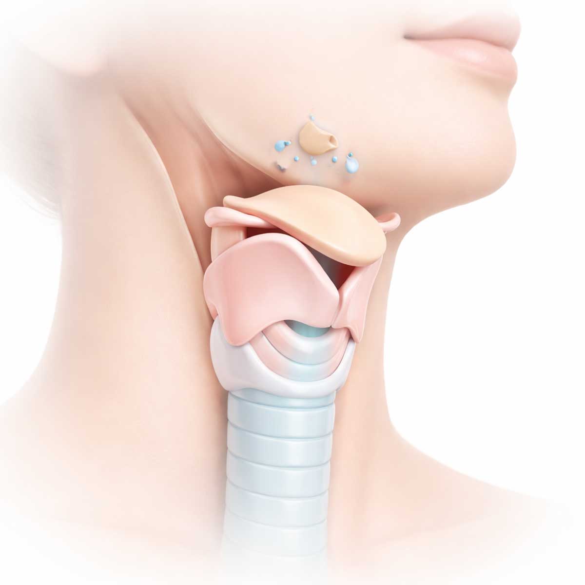 Медицинская 3D-иллюстрация защитной функции гортани: надгортанник показан в закрытом положении над входом в дыхательные пути