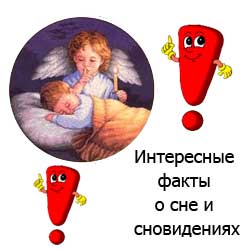 интересные факты о сне