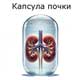 капсула почки