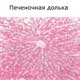 печеночная долька