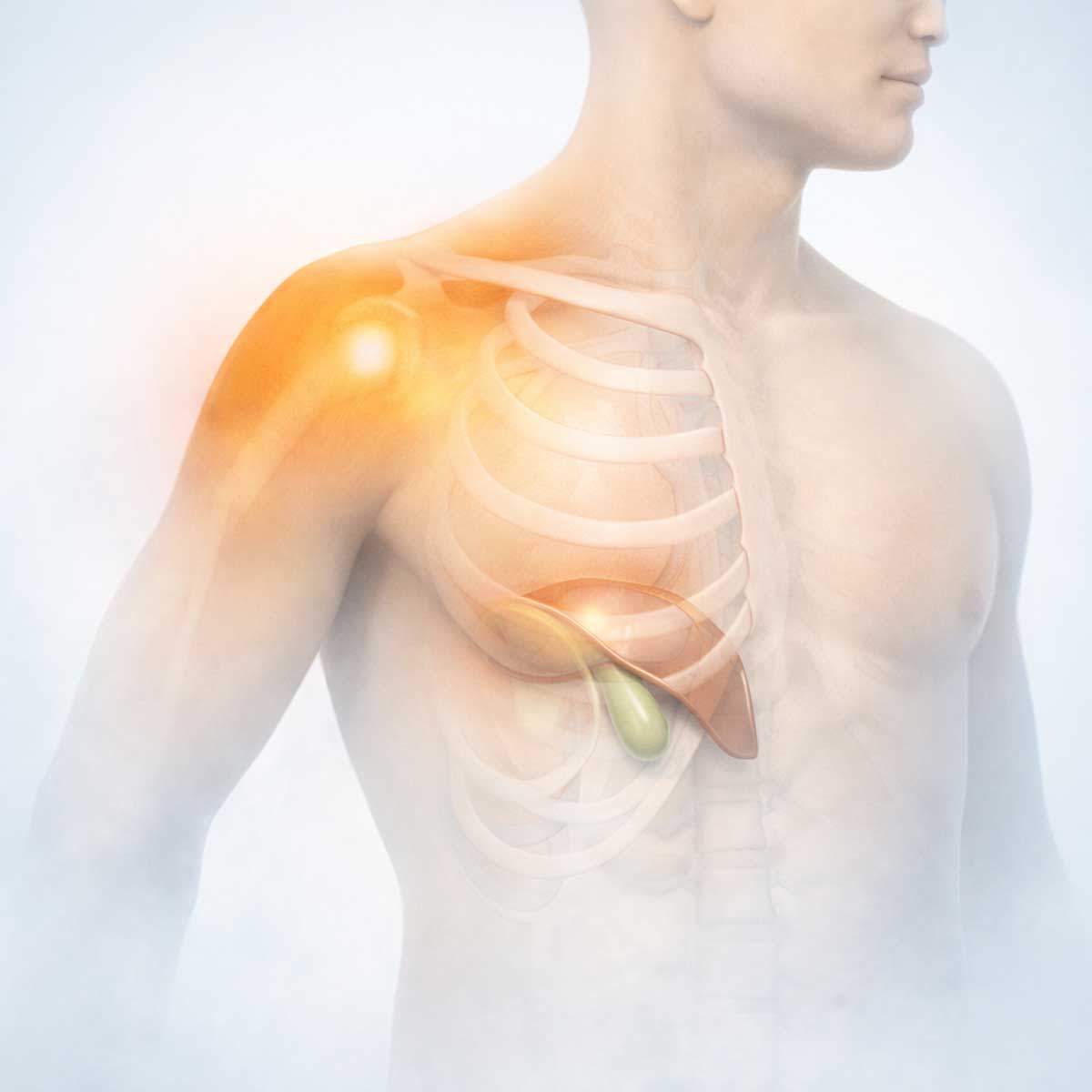 Медицинская 3D-иллюстрация локализации боли при печеночной колике: область правого подреберья и возможное распространение боли.