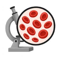 кровь красная под микроскопом